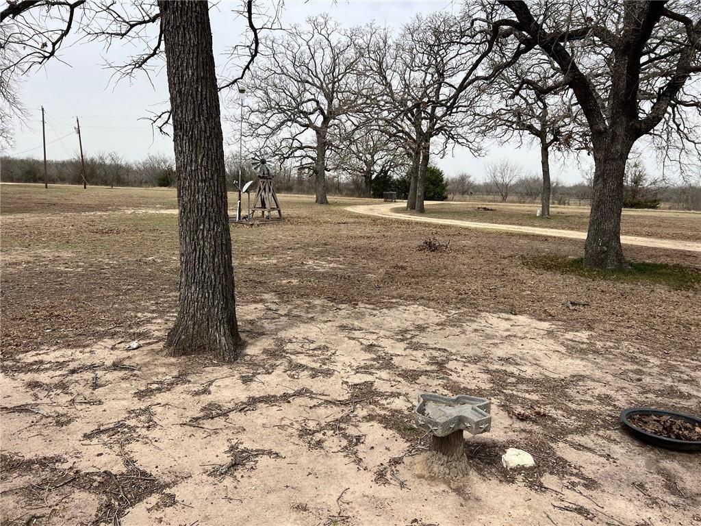 620 Cr 109 Road Riesel, TX 76682 - Photo 25 of 26 a view of a yard with trees