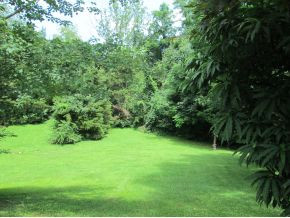 5 Rambling Circle Johnson City, TN 37604 - Photo 24 of 24 Photo 24
