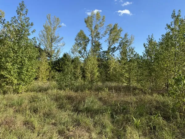 $29,900 | 0 Fm 195, Bagwell, TX 75412