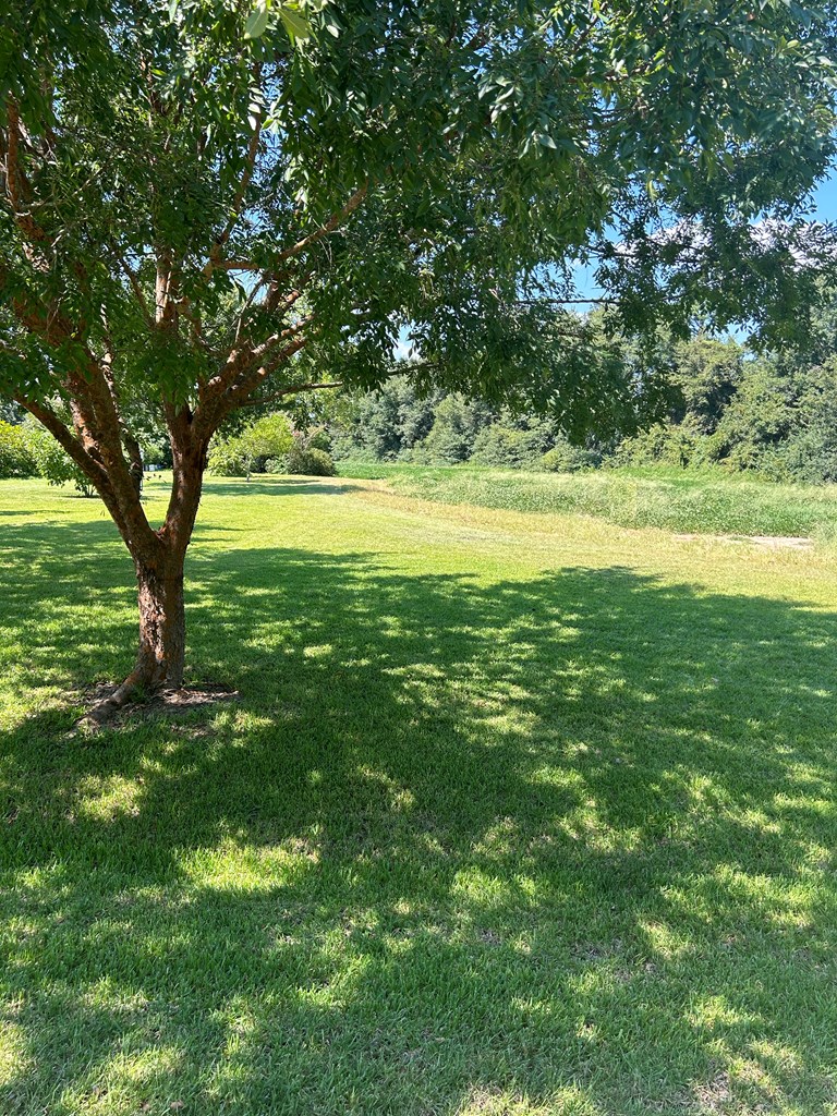 1831 Hooper Cherry Road Dothan, AL 36301 - Photo 4 of 5