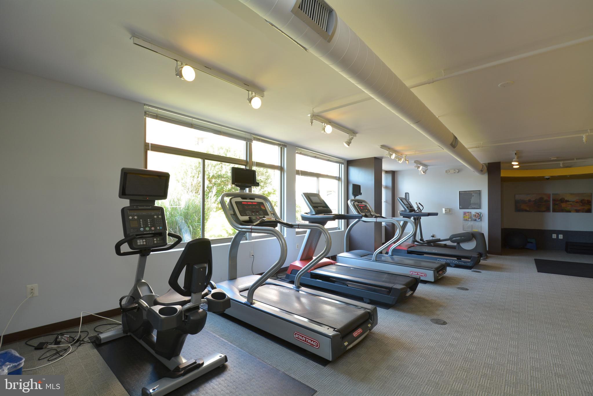 3650 South Glebe Road, Unit 262 Arlington, VA 22202 - Photo 15 of 35 Full gym, access from the same floor as well