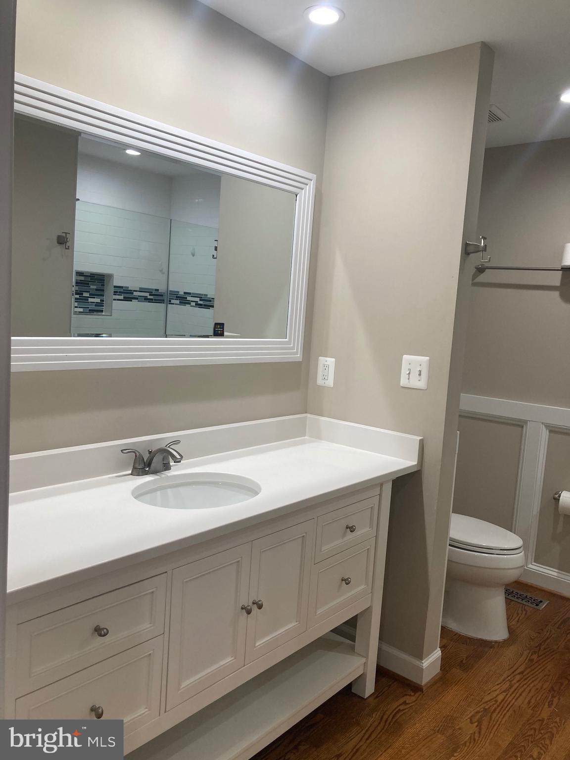 3002 Lakeview Parkway Locust Grove, VA 22508 - Photo 16 of 18 a bathroom with a sink a toilet and a mirror