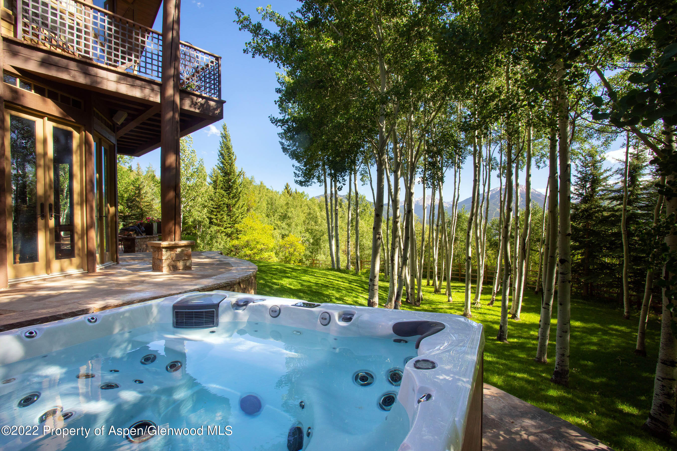 156 Eppley Drive Aspen, CO 81612 - Photo 27 of 44 Hot Tub