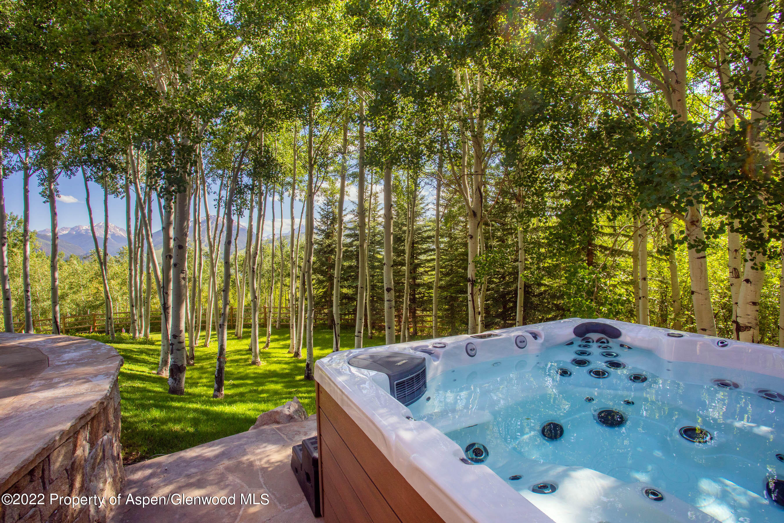 156 Eppley Drive Aspen, CO 81612 - Photo 37 of 44 Hot Tub