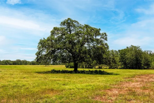 a view of yard with swimming pool and trees