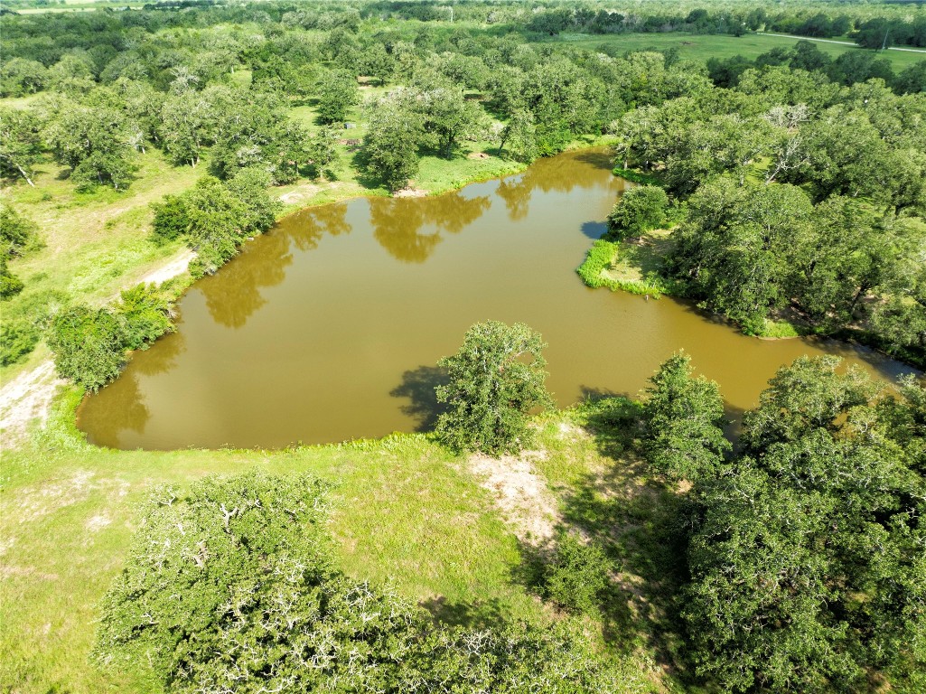 6750 Three Mile Road Flatonia, TX 78941 - Photo 3 of 35 a view of lake with green space