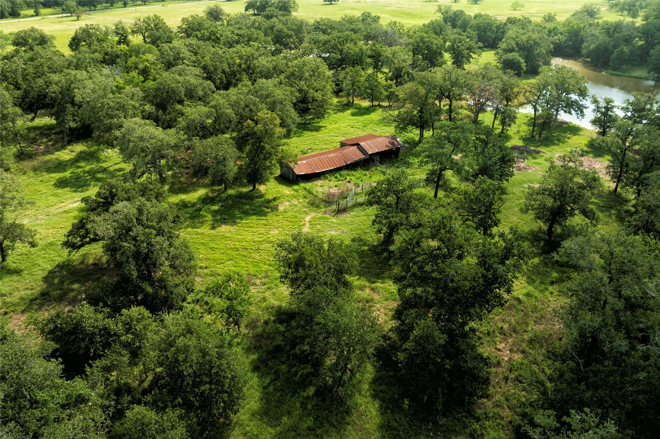 6750 Three Mile Road Flatonia, TX 78941 - Photo 33 of 35 a view of a lush green forest with lawn chairs and plants