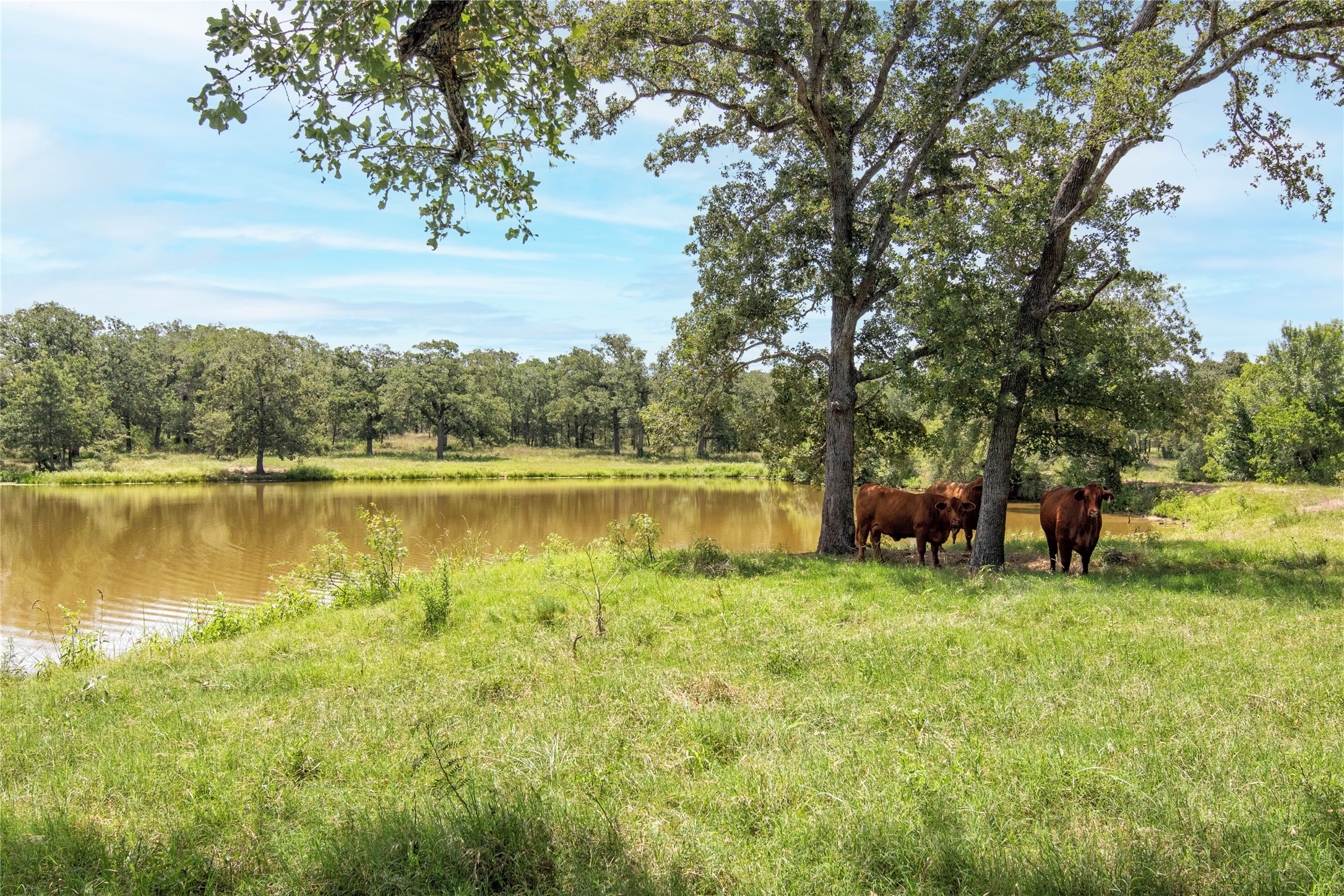 6750 Three Mile Road Flatonia, TX 78941 - Photo 4 of 35 a view of a lake with houses in the back
