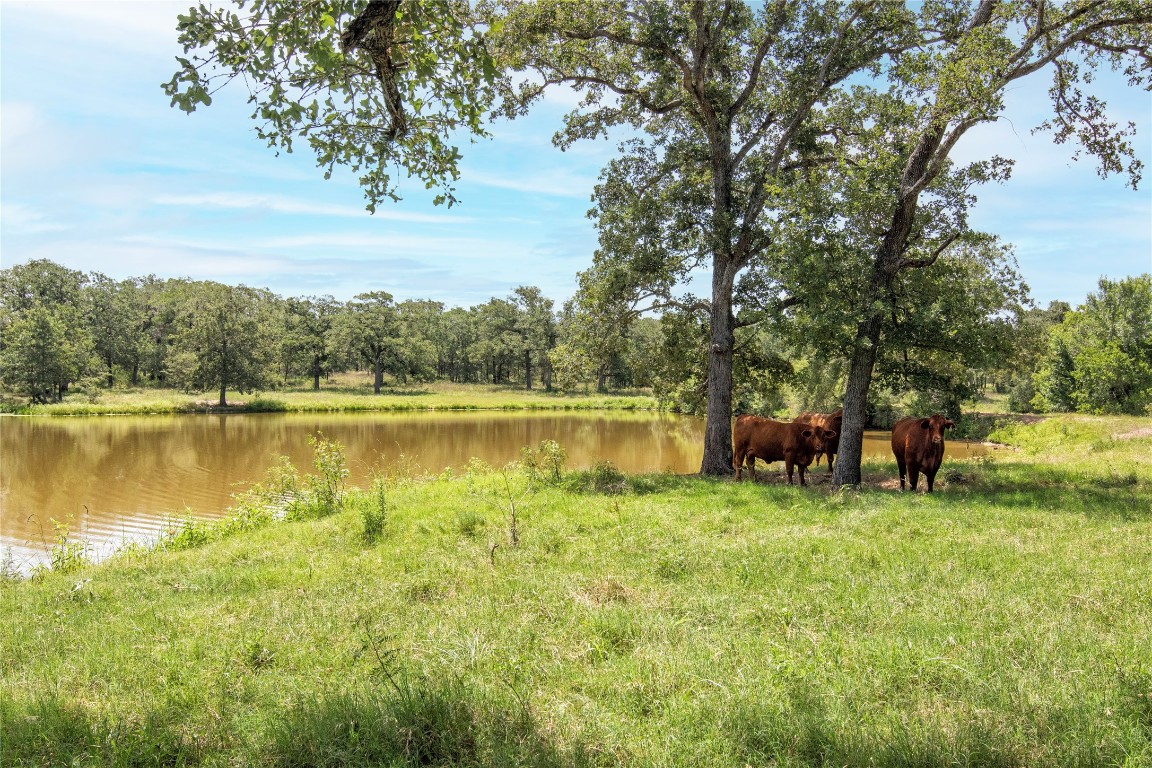 6750 Three Mile Road Flatonia, TX 78941 - Photo 6 of 35 a view of a lake with houses in the back
