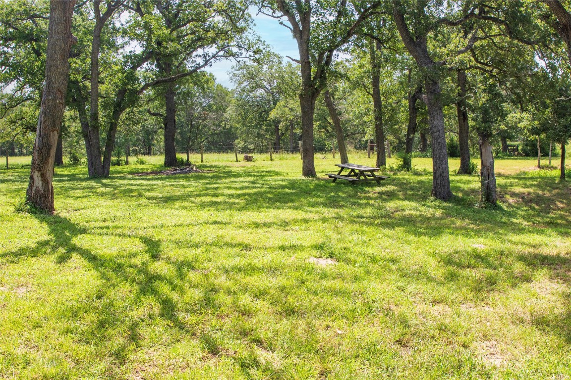 6750 Three Mile Road Flatonia, TX 78941 - Photo 9 of 35 a view of a trees with a big yard