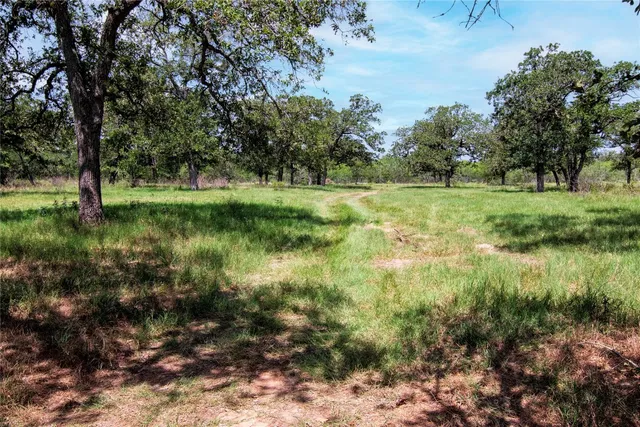 a view of outdoor space and yard