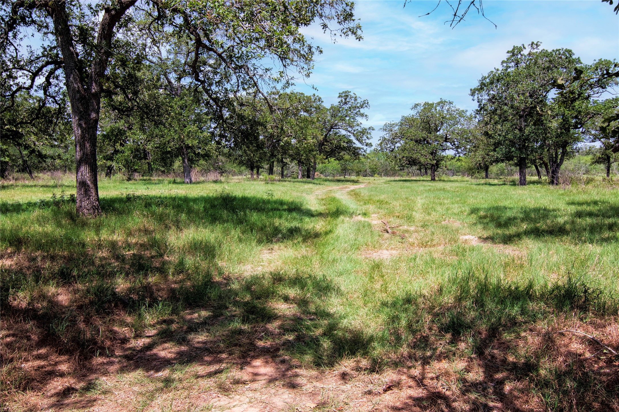 6750 Three Mile Road Flatonia, TX 78941 - Photo 10 of 35 a view of outdoor space and yard