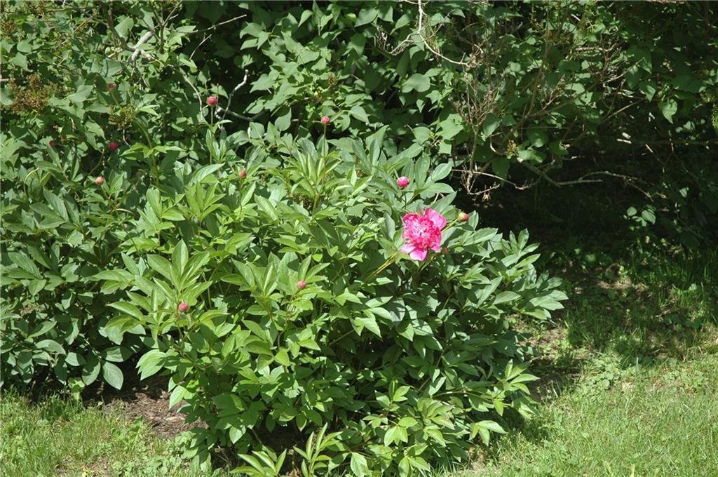 2 Powder Mill Road Warren, ME 04864 - Photo 23 of 26 Photo