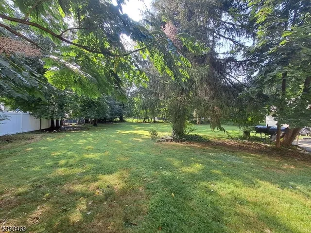 a view of a yard with a tree