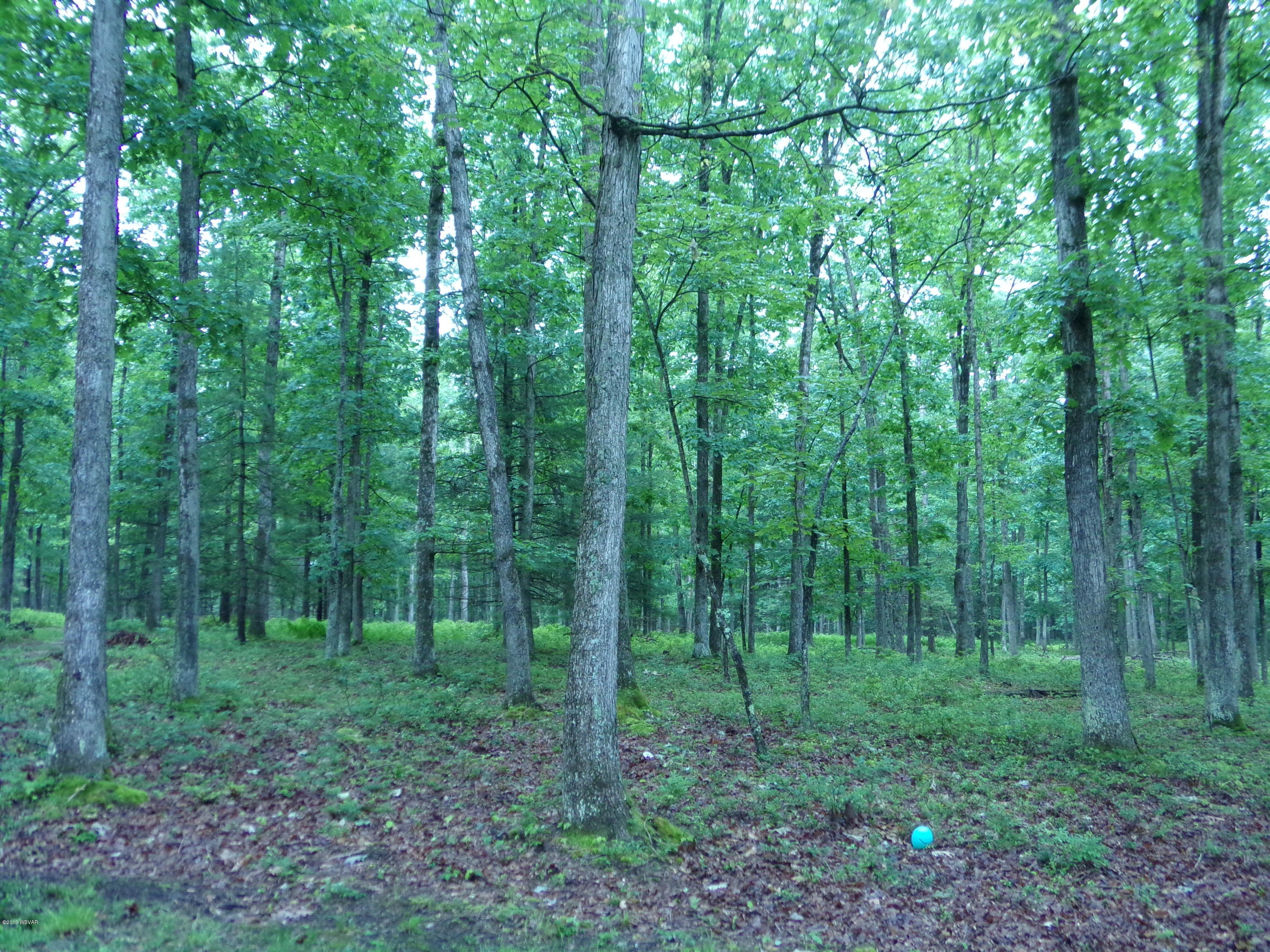 285 Hickory Ridge Road Mill Hall, PA 17751 - Photo 10 of 31 123_5458
