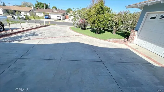 a view of backyard with large trees and plants