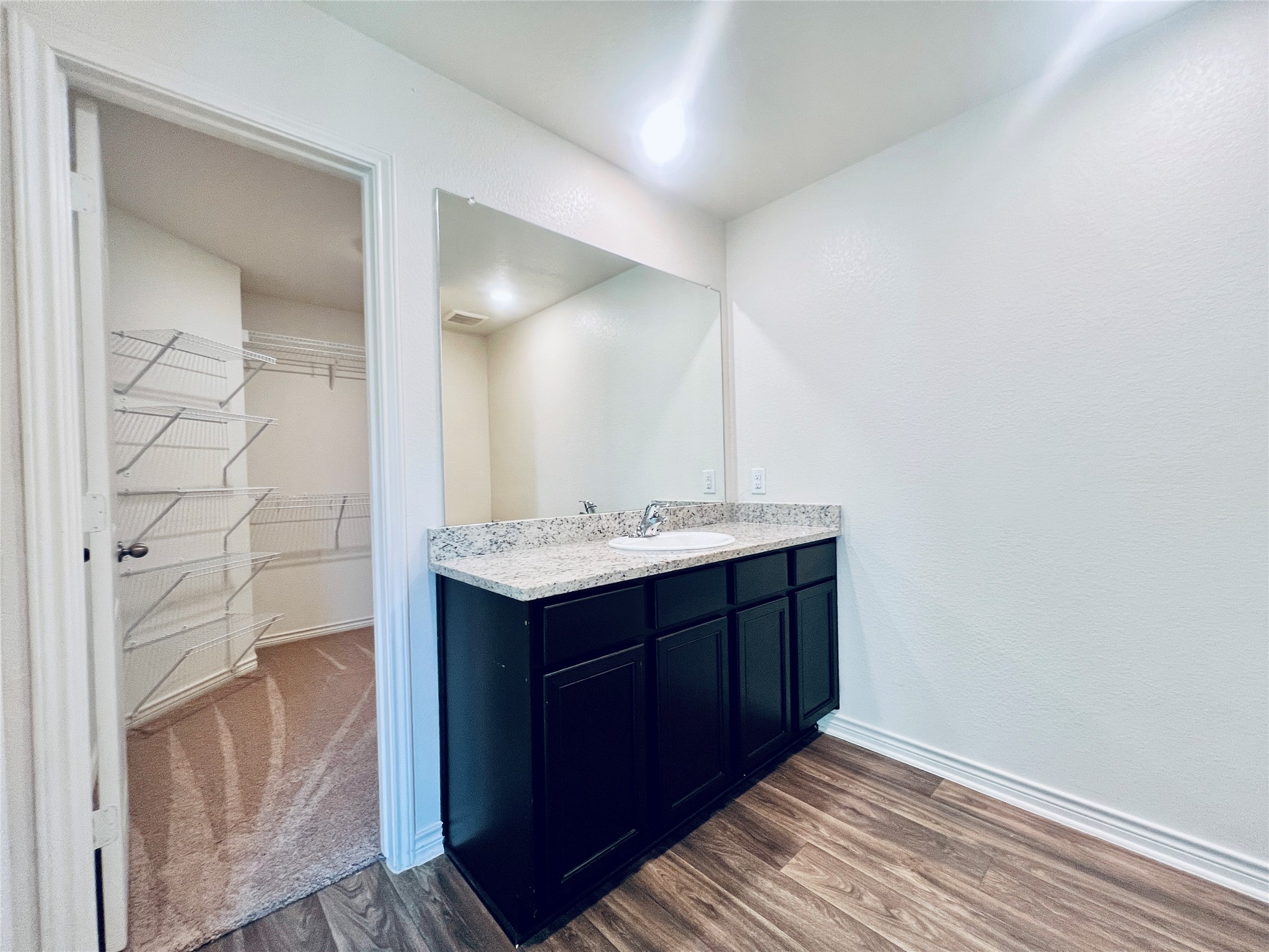 520 Locksley Cove Jarrell, TX 76537 - Photo 11 of 27 A well-appointed vanity with a large mirror complements the adjacent walk-in closet with ample shelving.
