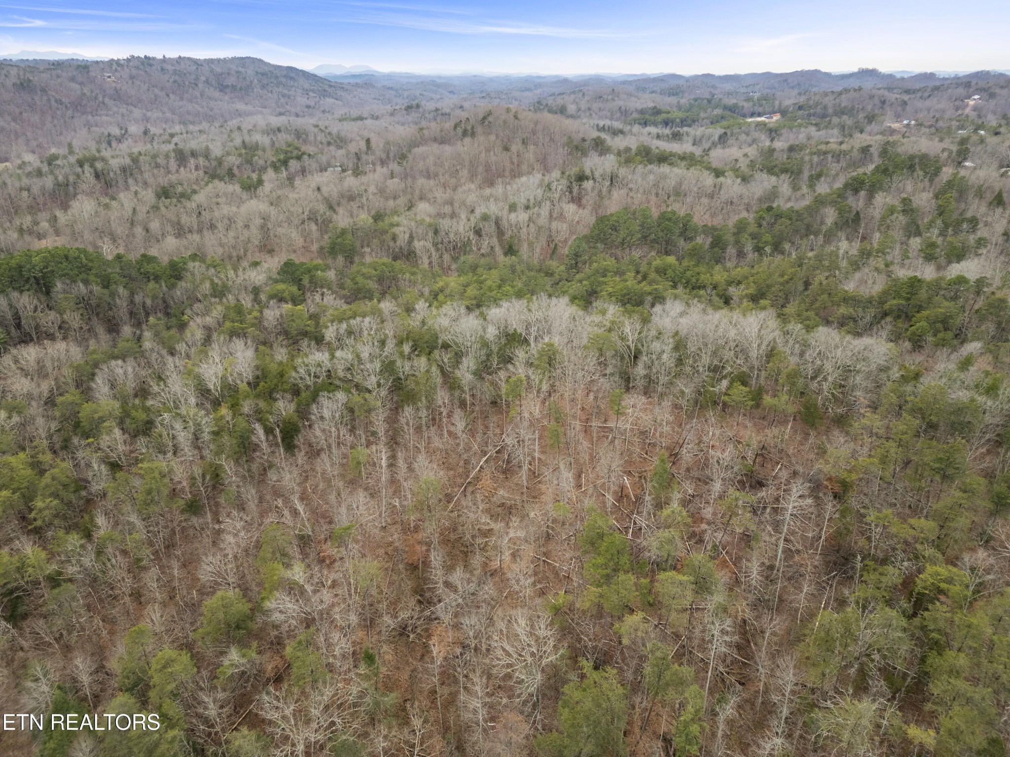 3940 Allegheny Loop Road Maryville, TN 37803 - Photo 14 of 15 Gallery Image 14