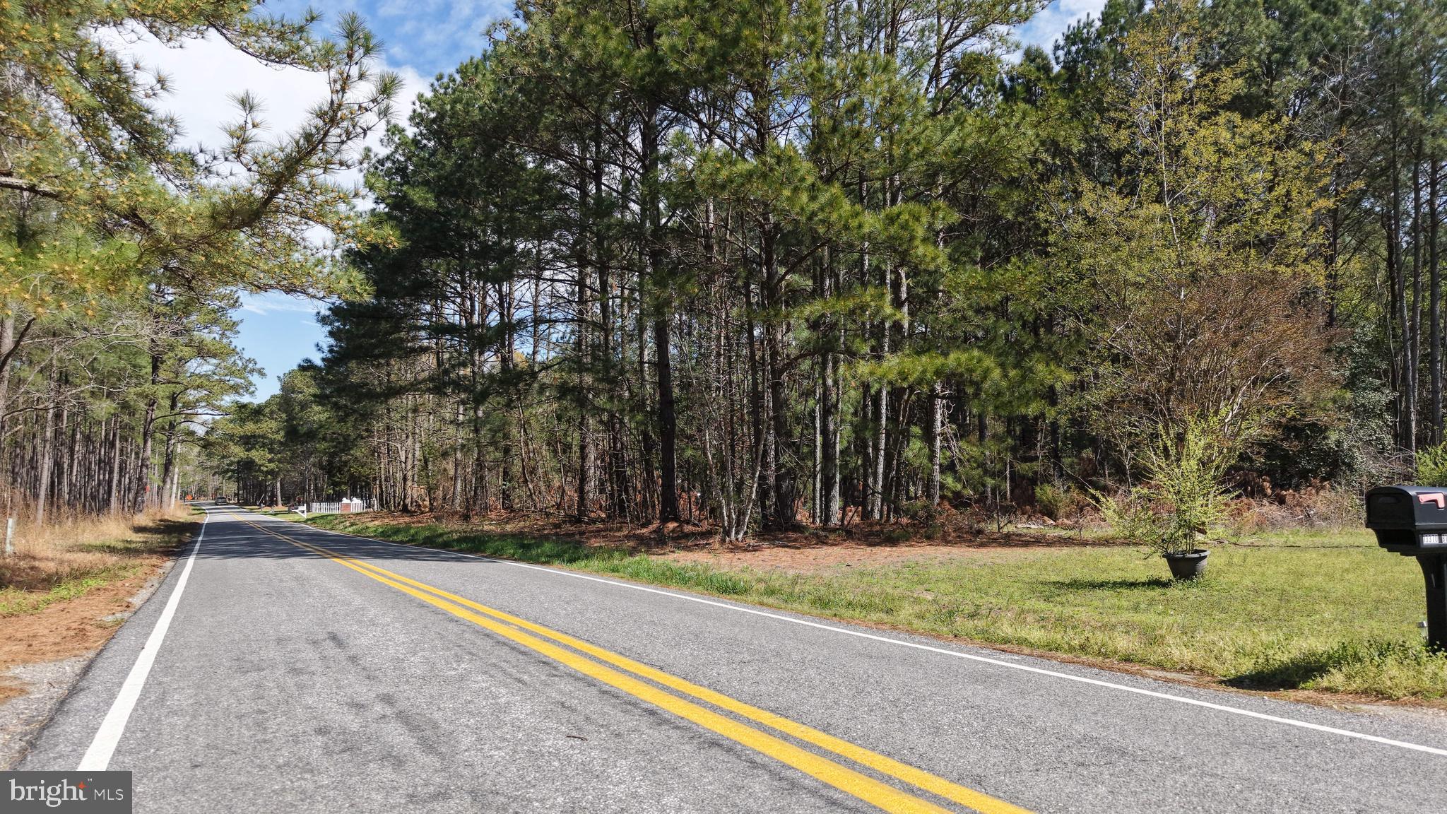 0 Western Mill Road Lawrenceville, VA 23868 - Photo 6 of 11