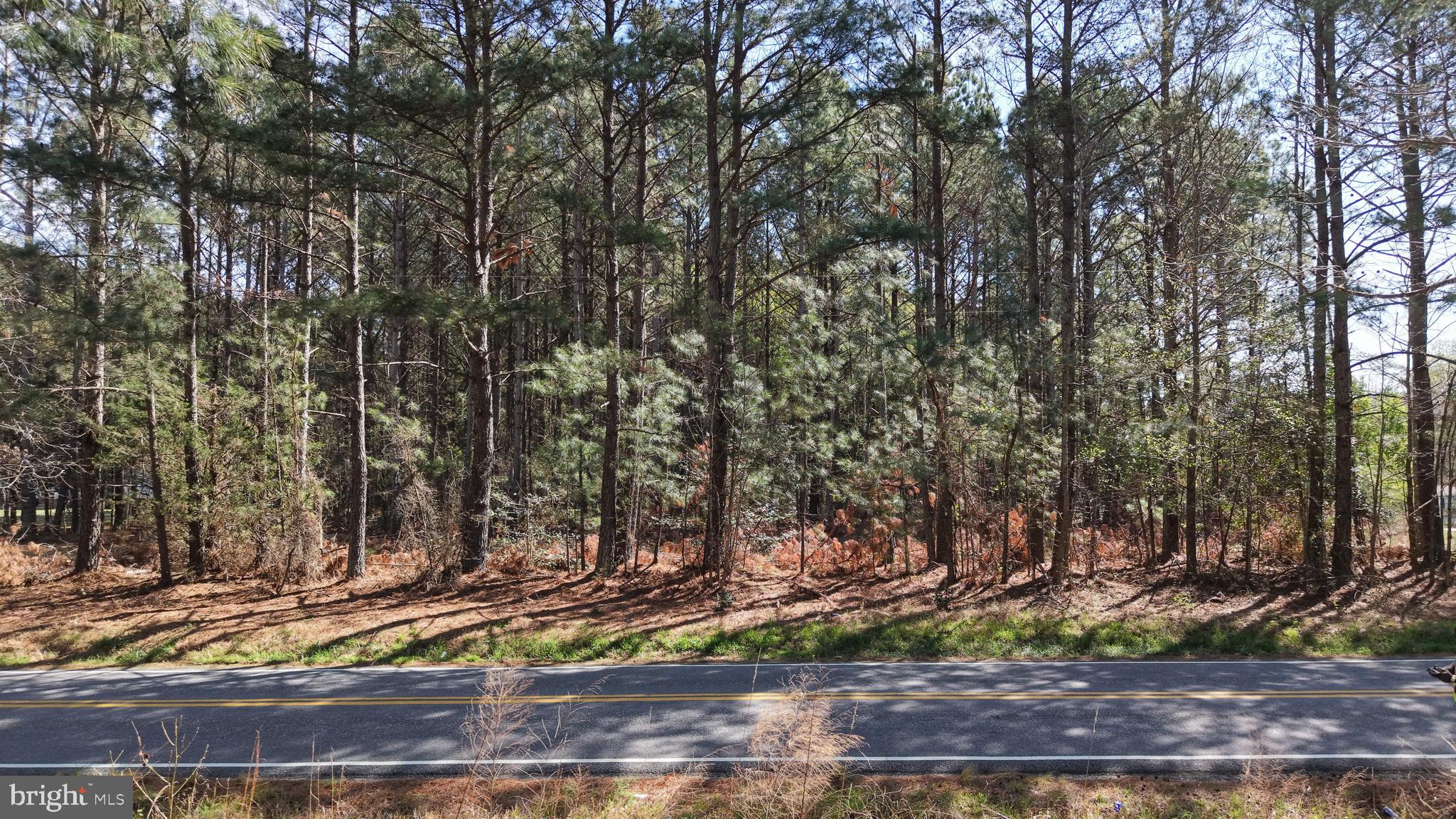 0 Western Mill Road Lawrenceville, VA 23868 - Photo 8 of 11