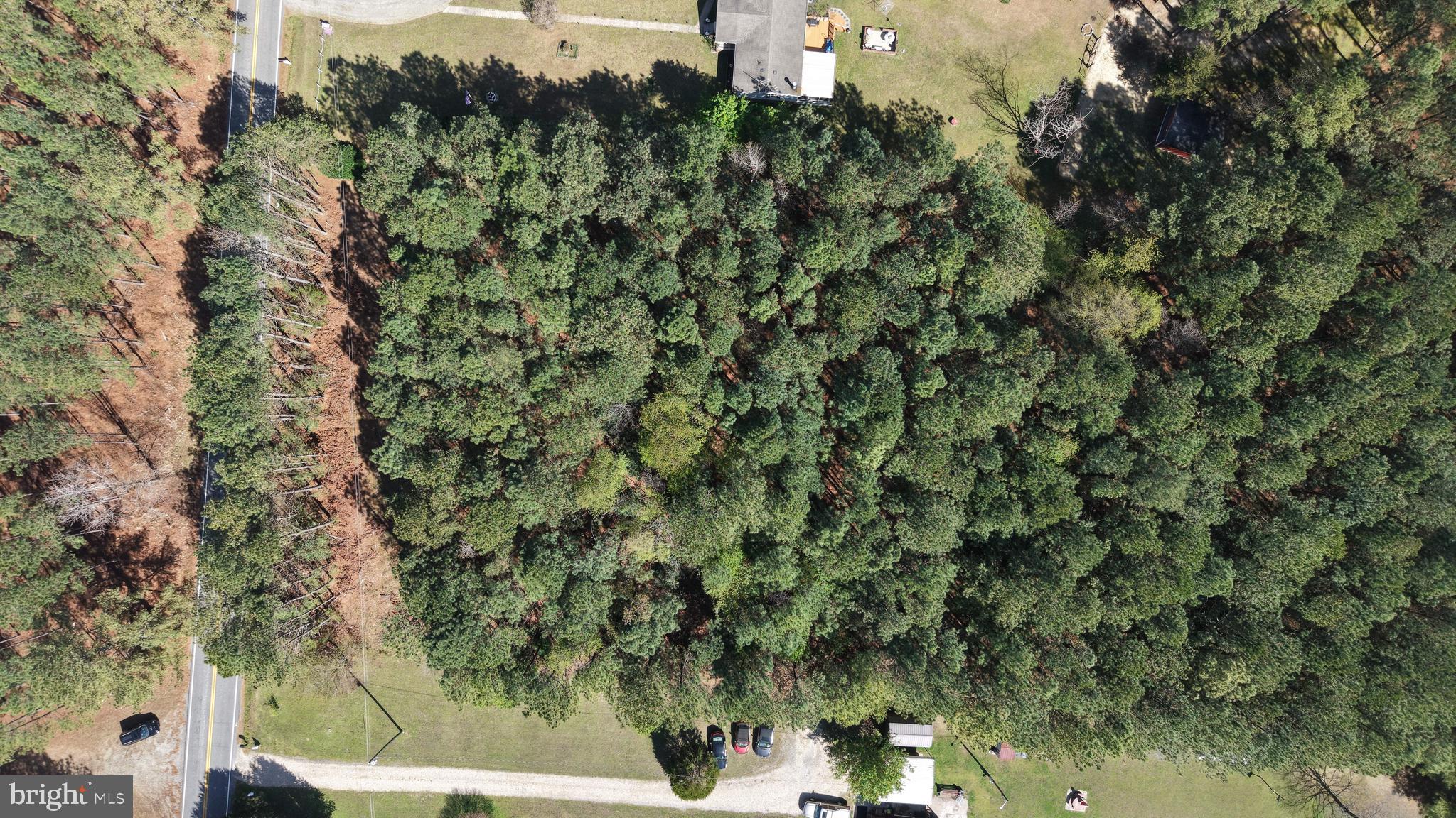 0 Western Mill Road Lawrenceville, VA 23868 - Photo 9 of 11