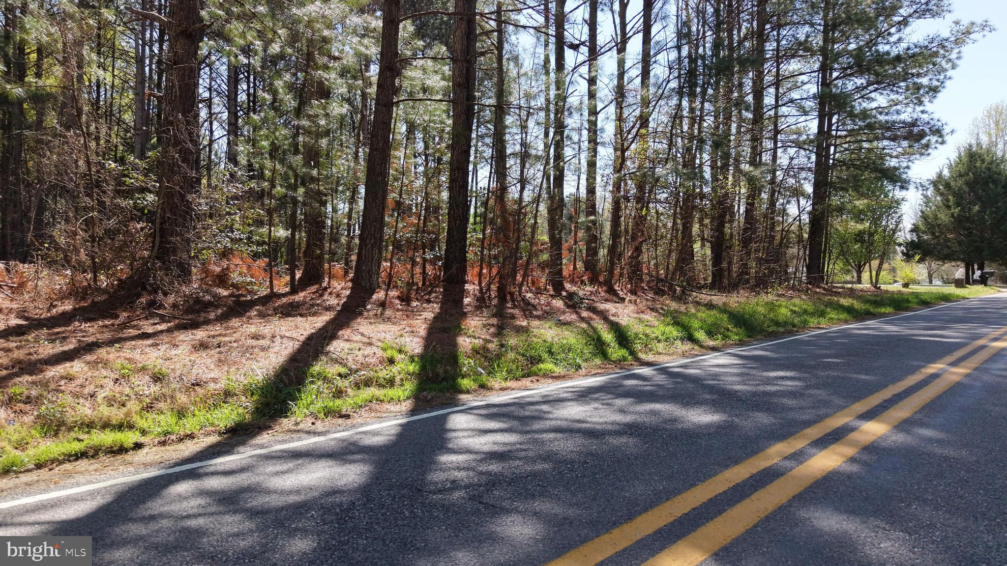 0 Western Mill Road Lawrenceville, VA 23868 - Photo 10 of 11