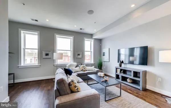 a living room with furniture and a potted plant