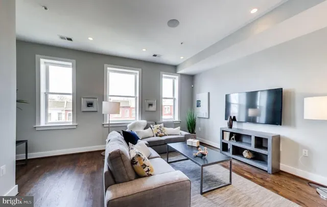 a living room with furniture and a potted plant