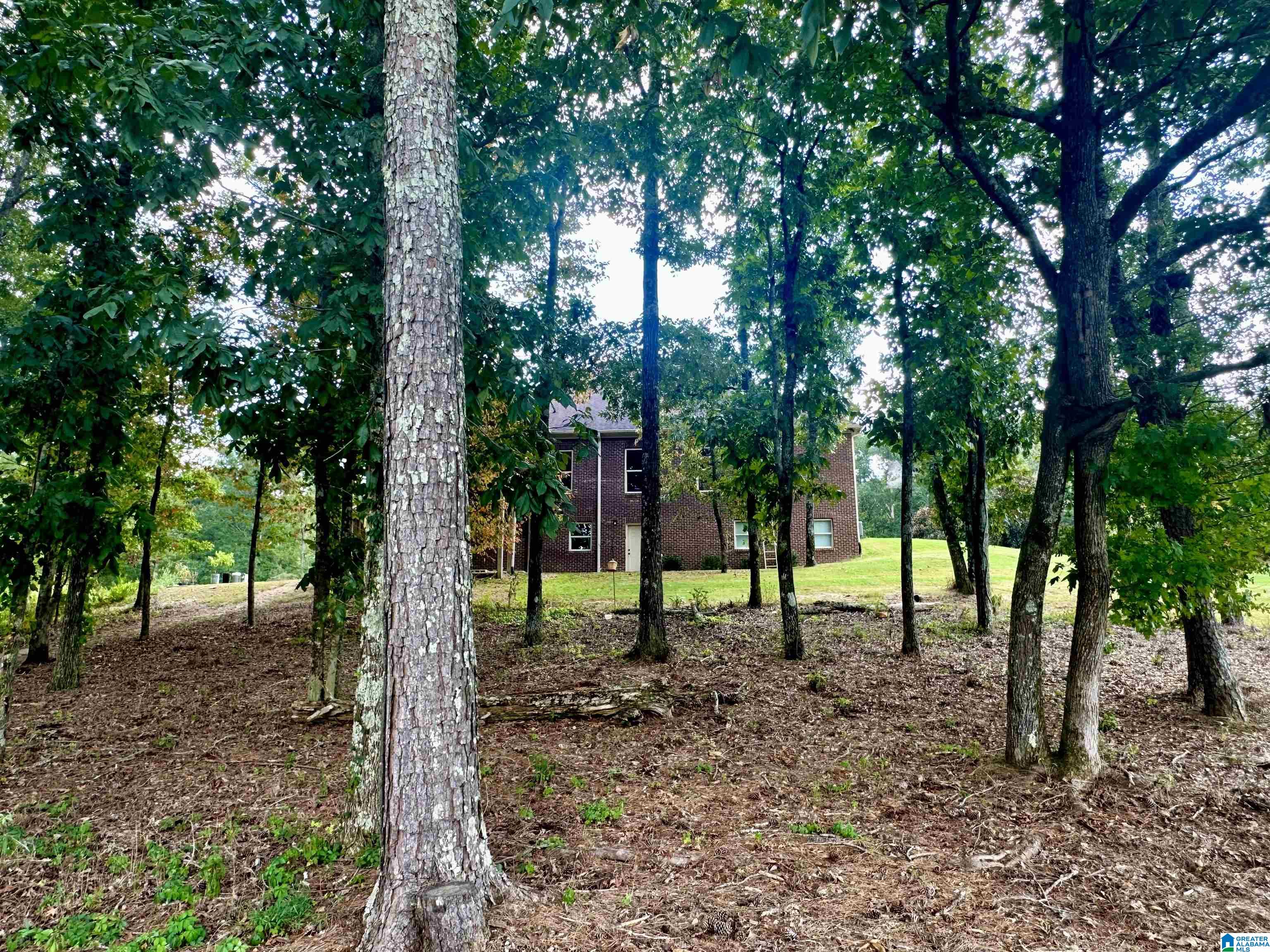 28 Grand Trace Warrior, AL 35180 - Photo 12 of 75