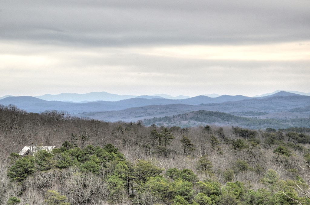 467 Deer Crest Road Blue Ridge, GA 30513 - Photo 47 of 79