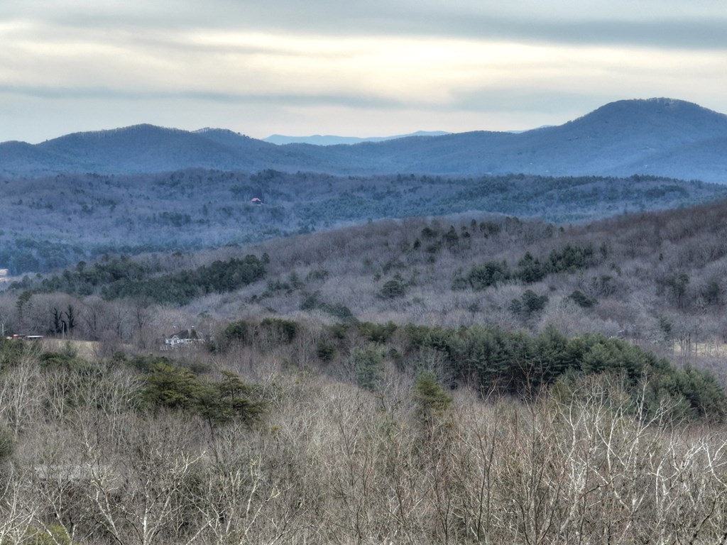 467 Deer Crest Road Blue Ridge, GA 30513 - Photo 69 of 79