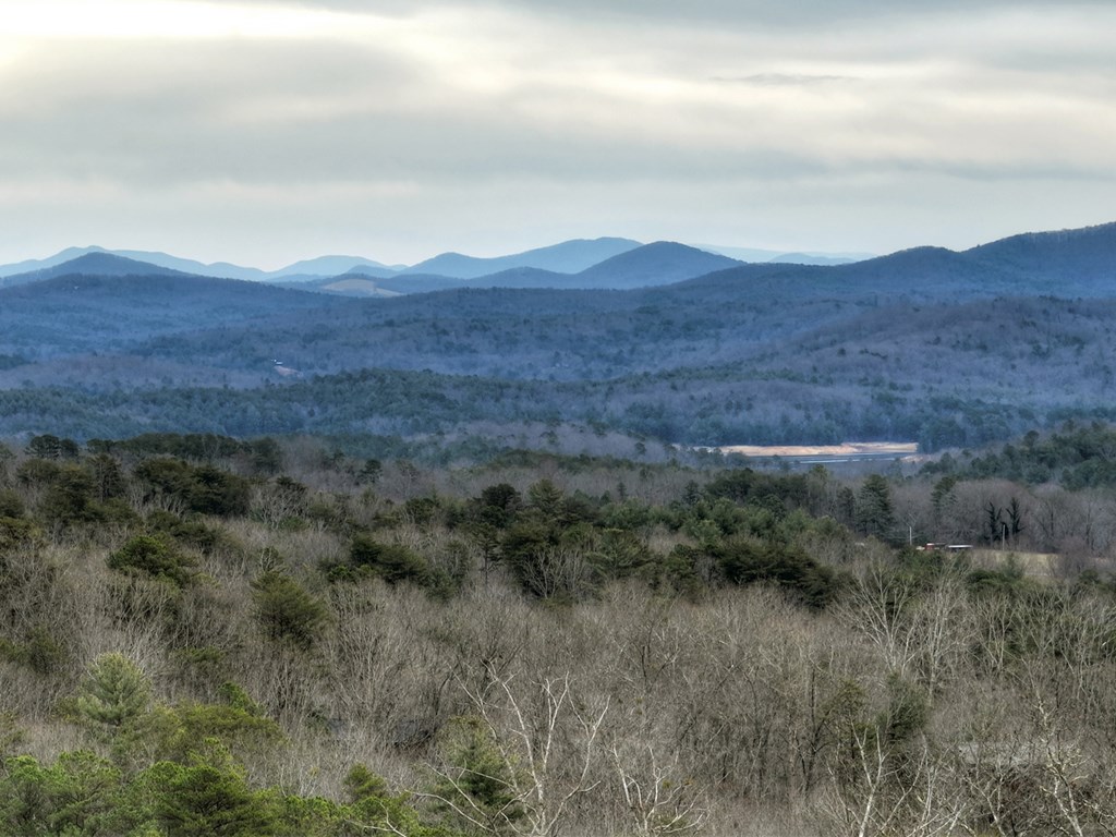 467 Deer Crest Road Blue Ridge, GA 30513 - Photo 70 of 79