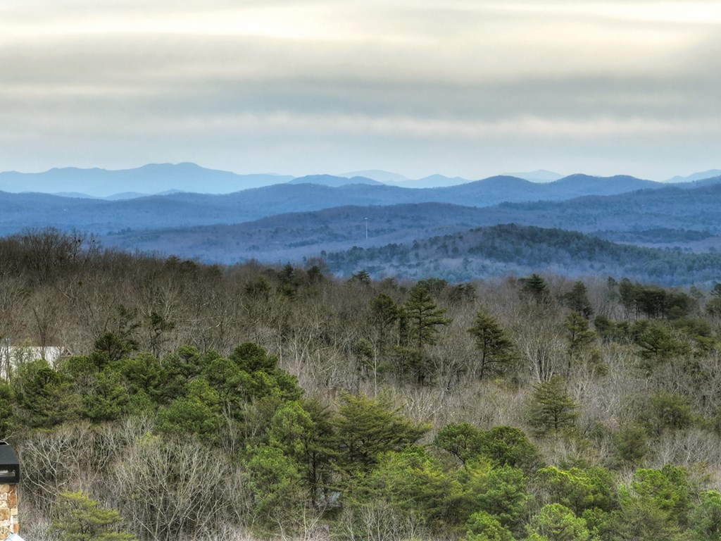 467 Deer Crest Road Blue Ridge, GA 30513 - Photo 71 of 79