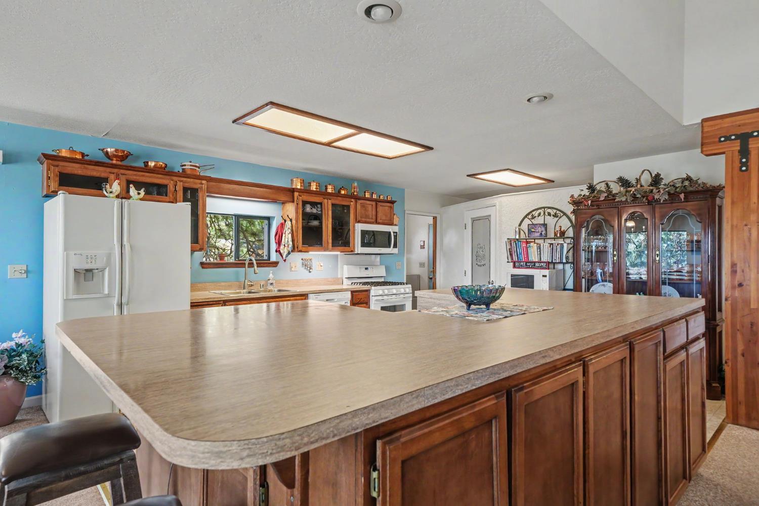 14206 Williams Road Pioneer, CA 95666 - Photo 21 of 96 Gallery Image 21