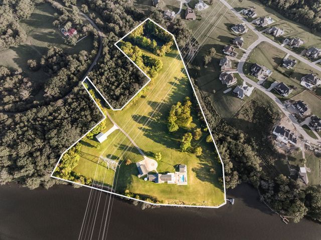 a street view with large trees