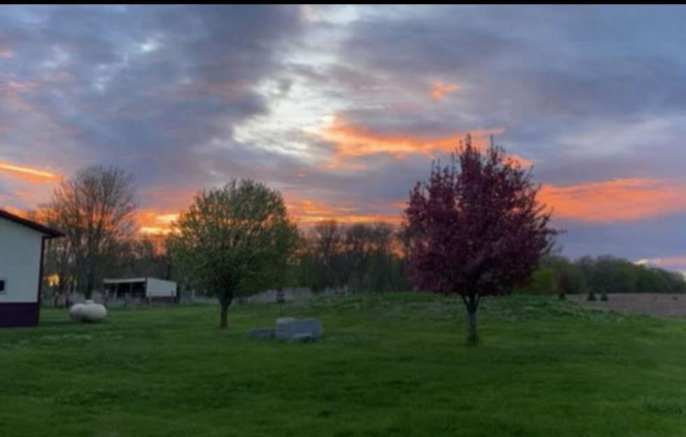 10448 345th Street St. Joseph, MN 56374 - Photo 50 of 55