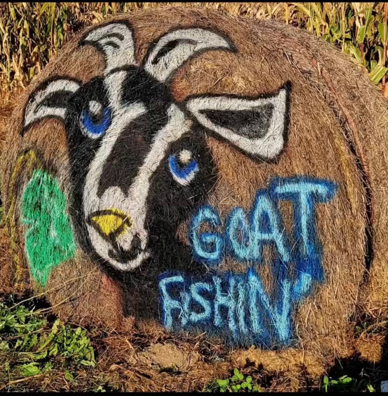 10448 345th Street St. Joseph, MN 56374 - Photo 52 of 55