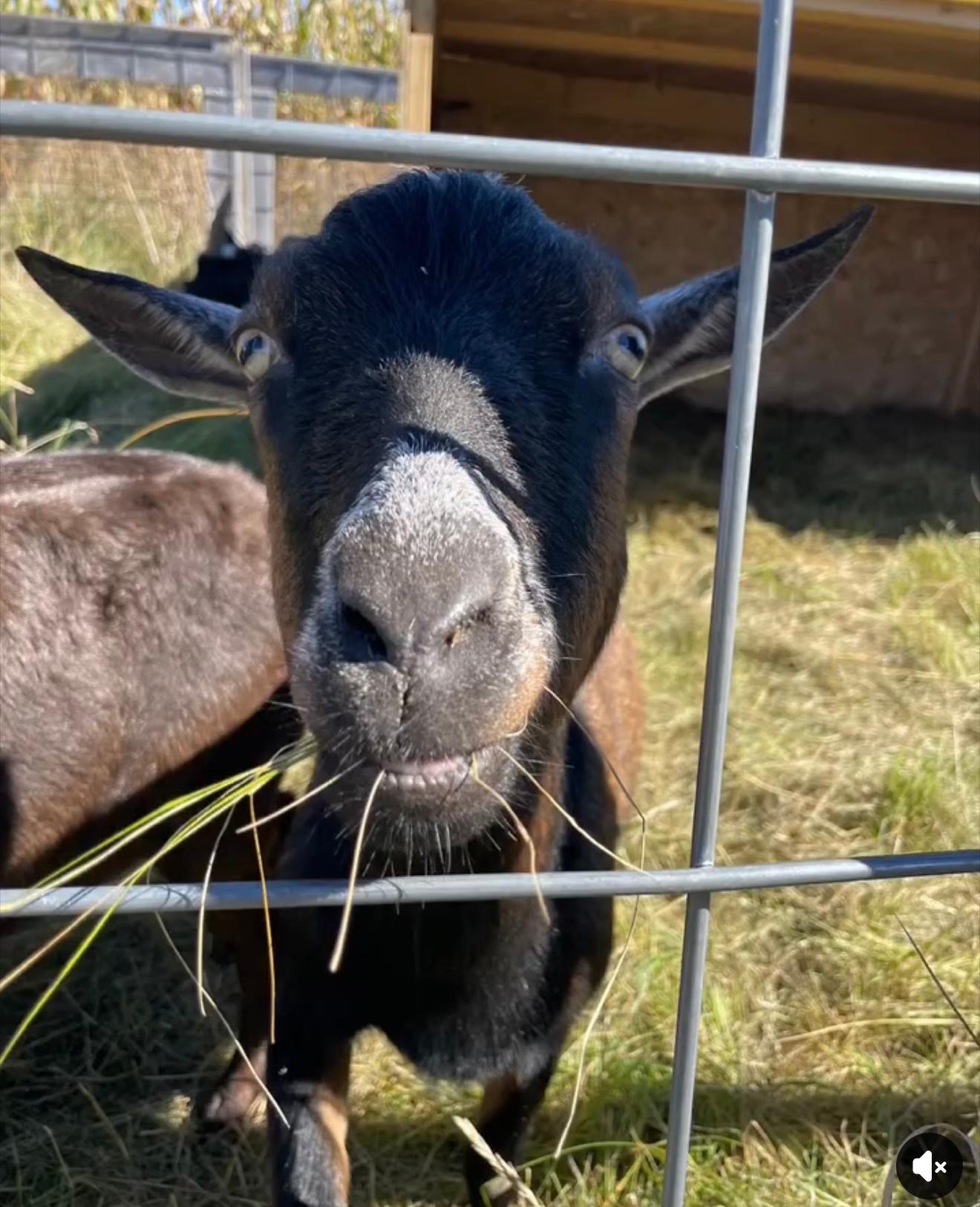 10448 345th Street St. Joseph, MN 56374 - Photo 53 of 55