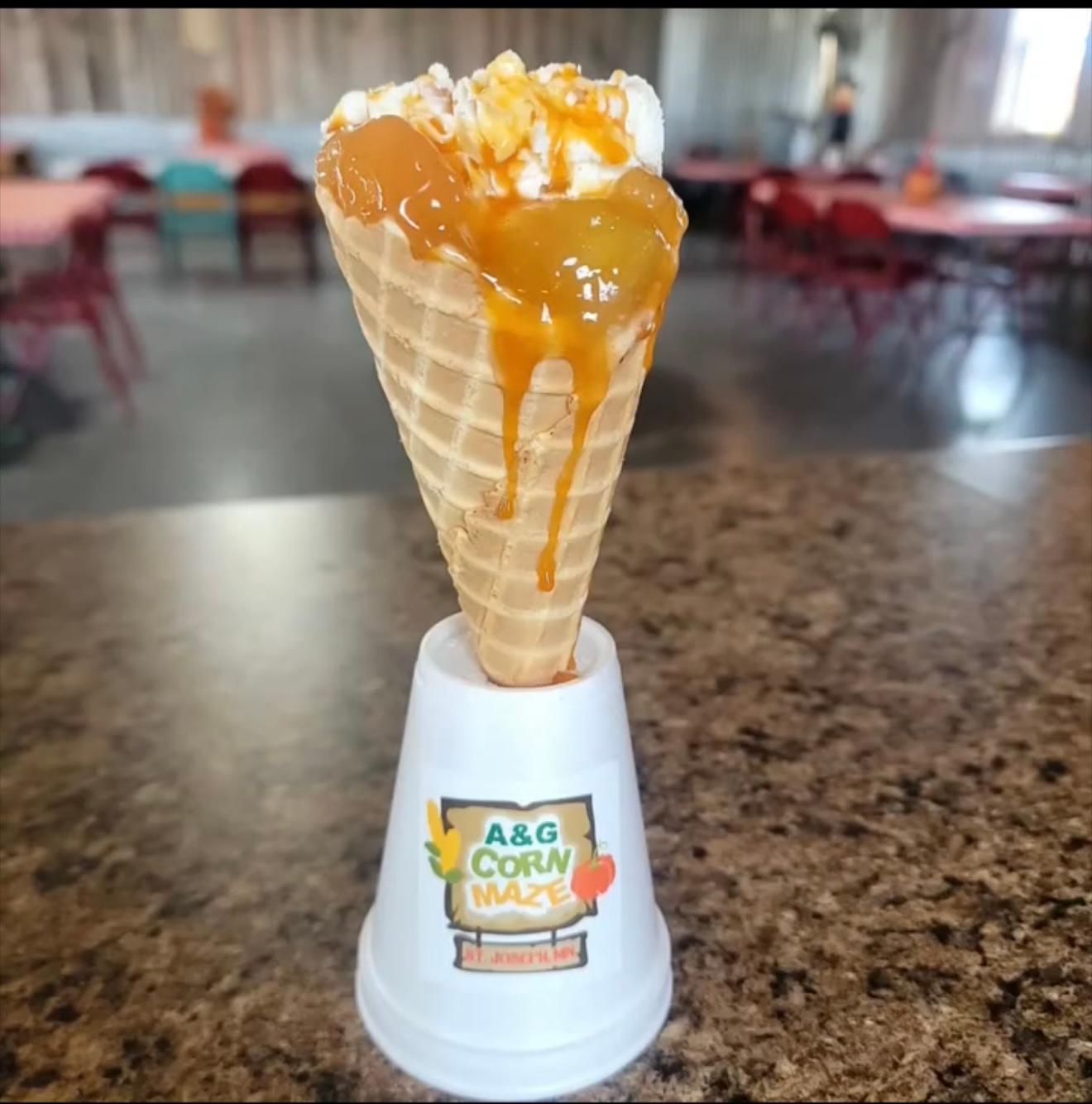 10448 345th Street St. Joseph, MN 56374 - Photo 54 of 55