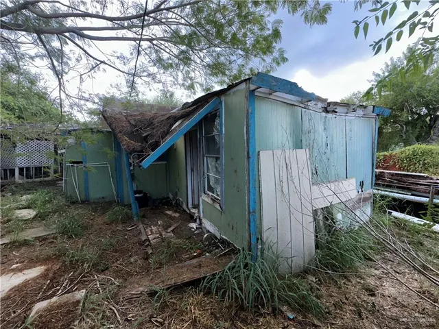 a couple of flower plants sitting in front of a house
