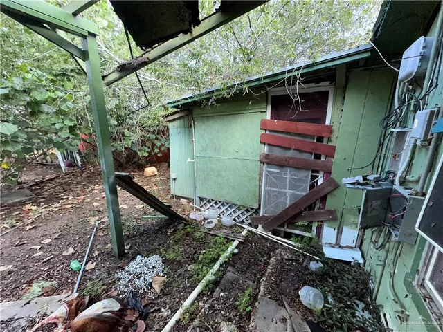 a view of a garden with plants