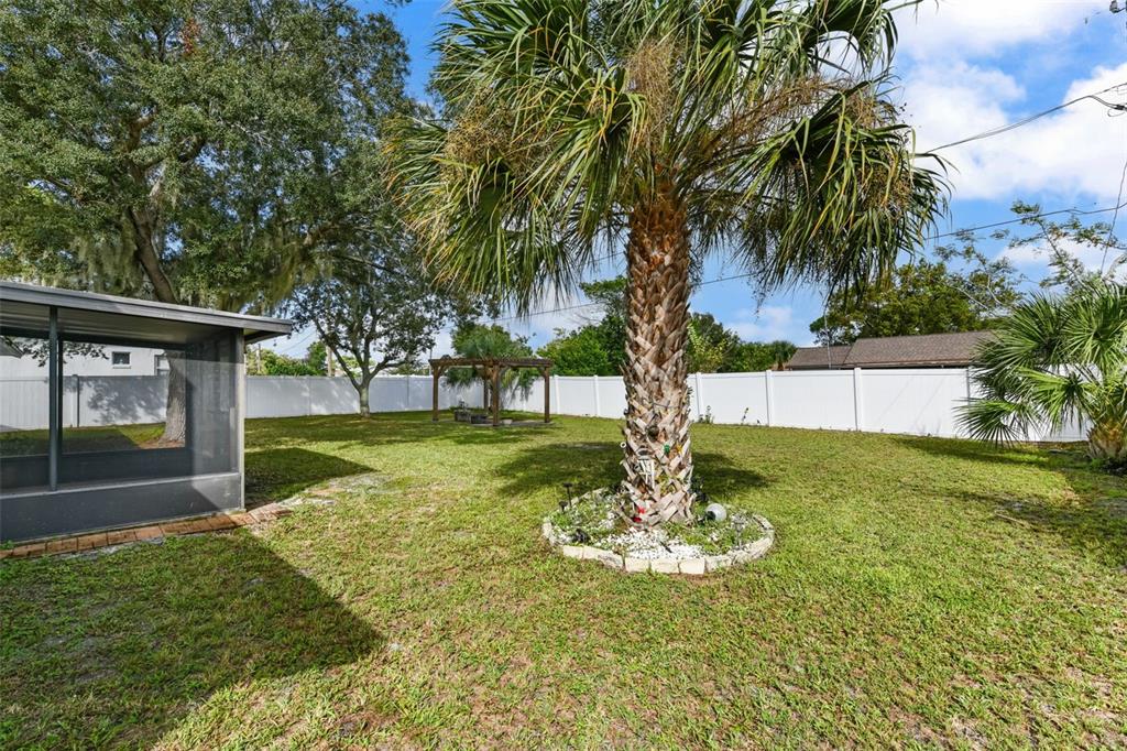1580 East Normandy Boulevard Deltona, FL 32725 - Photo 43 of 46 a swimming pool with trees in the background