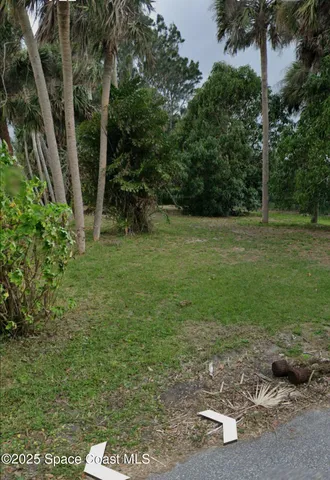 a view of a yard with a tree