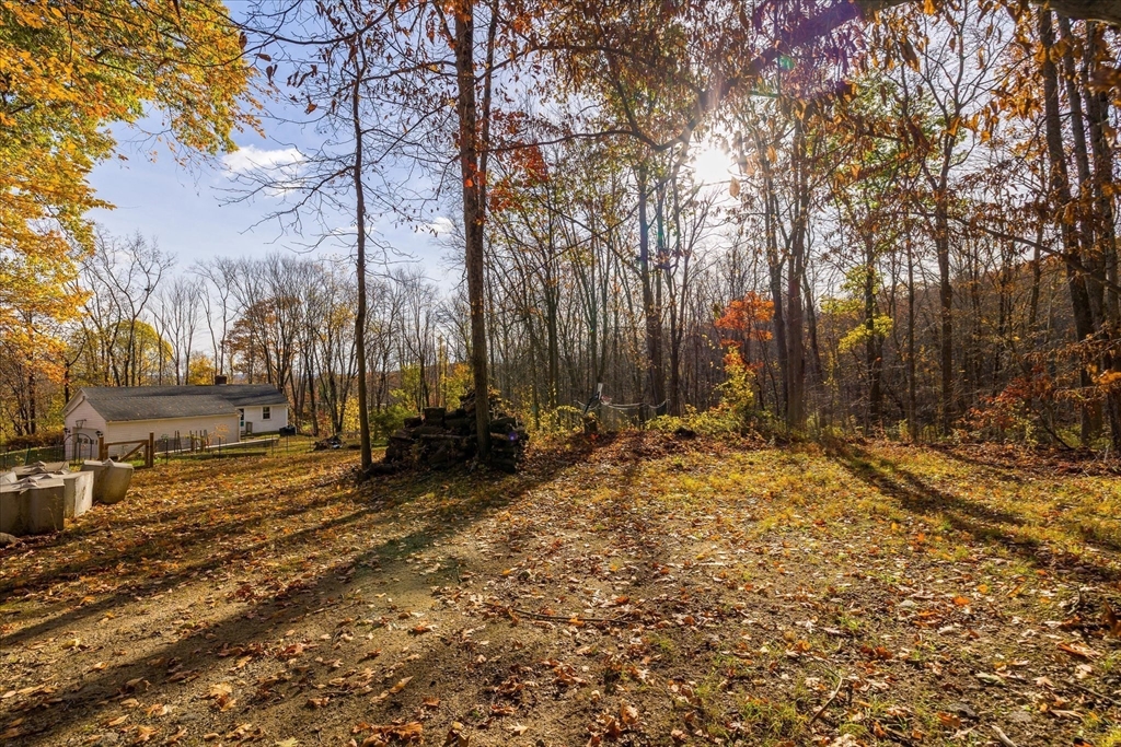 1350 Thresher Road Hardwick, MA 01037 - Photo 29 of 37 a view of a backyard with large trees