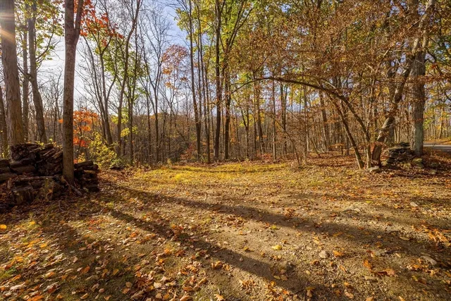 a view of house with trees