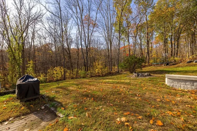 a backyard of a house with a large tree