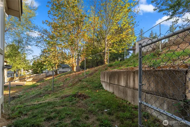 a view of a backyard