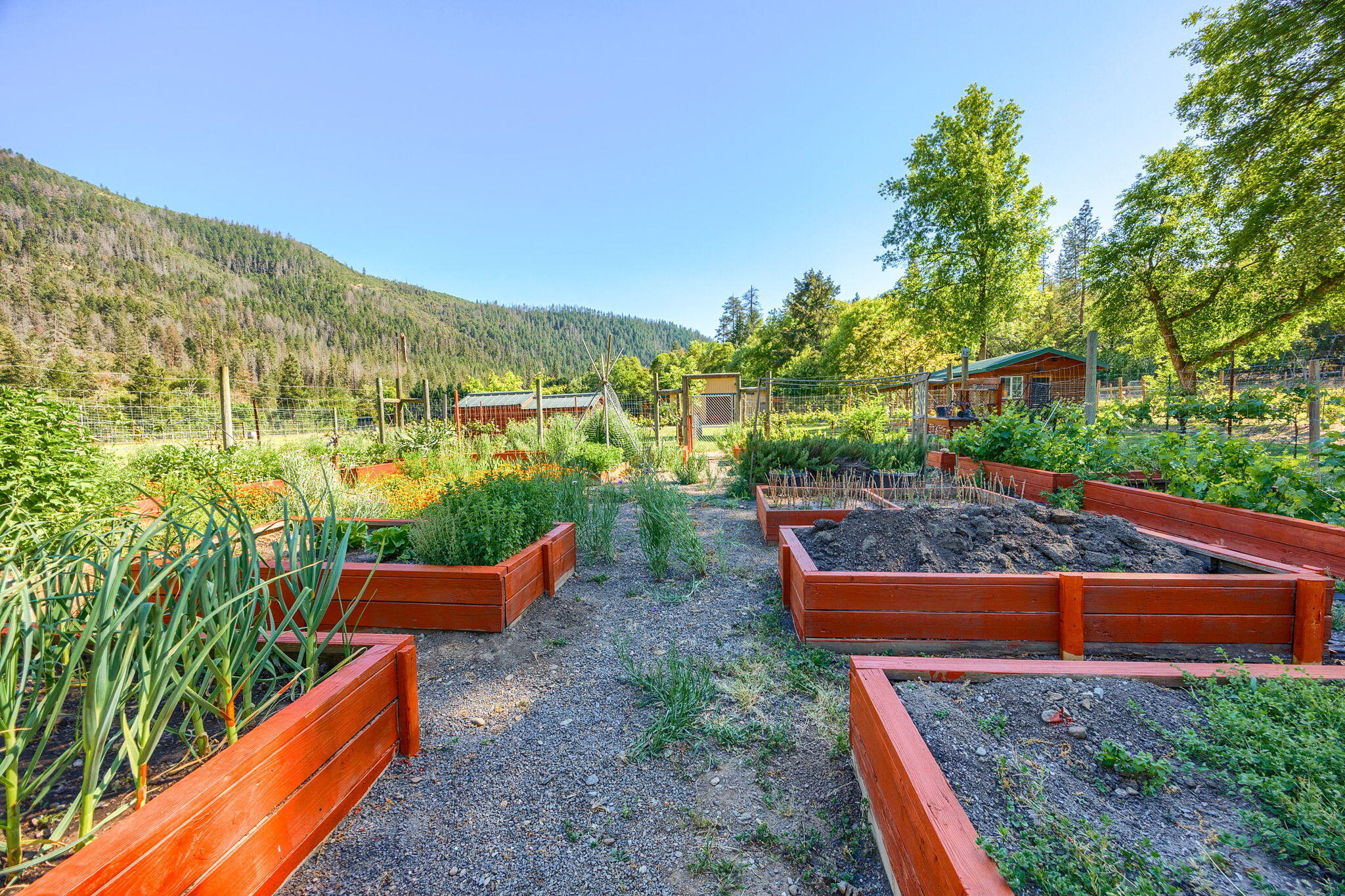 8127 Upper Applegate Road Jacksonville, OR 97530 - Photo 49 of 117 52