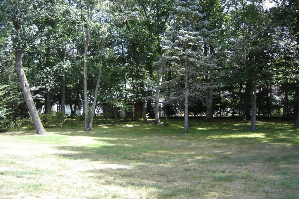105 Fenwood Road Longmeadow, MA 01106 - Photo 17 of 17 Gallery Image 17