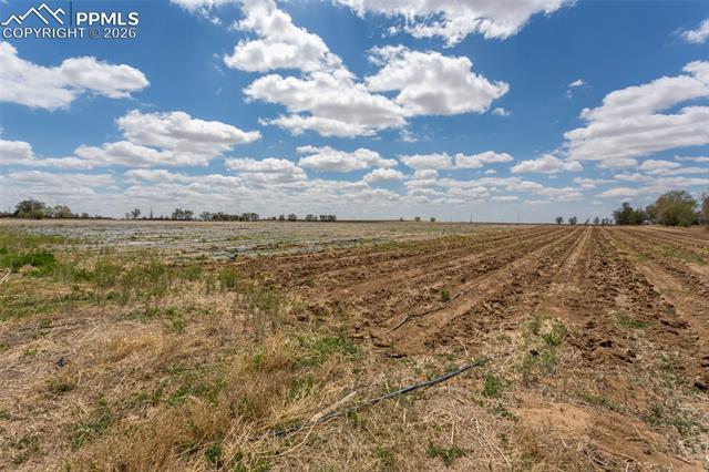 21550 Hanover Road Colorado Springs, CO 80928 - Photo 23 of 30